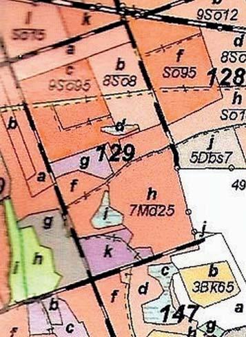 Ryc. 2. Rok 2009, skład drzewostanu oddz.129 f (4Md 3Bk 2So 1Brz) 30 lat oddz. 129 h ( 8Md 2Bk) 30 lat Fig. 2. 2009 treestand composition dept. 129 f 30 years old, dept.