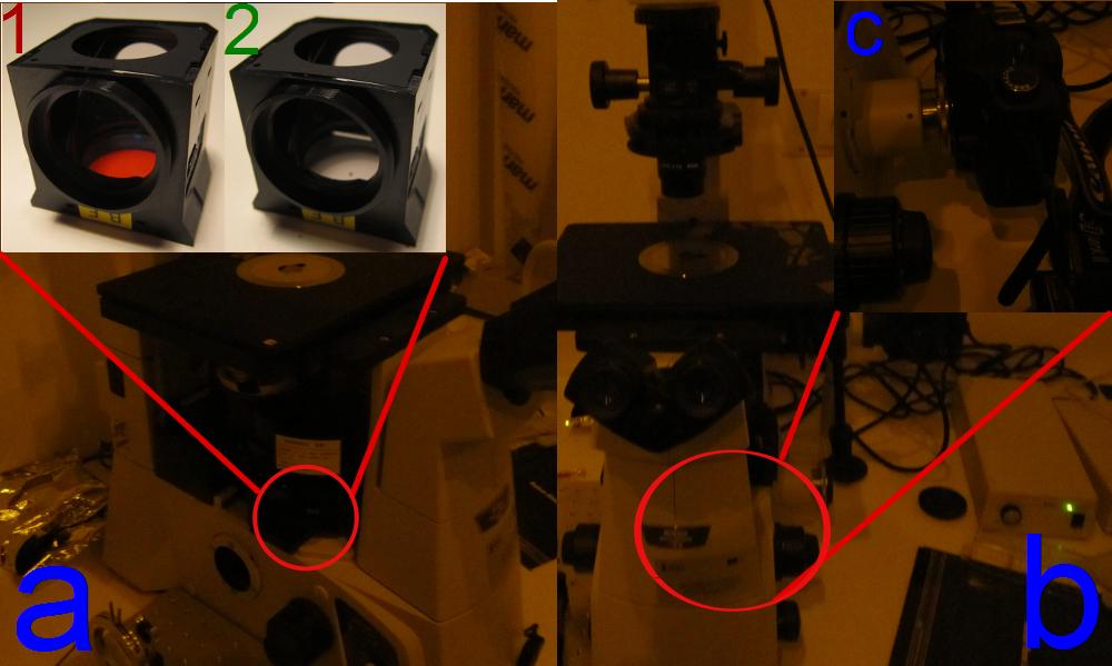 Rysunek 4: Sposób wykonania zdj cia przedniej powierzchni macierzy przy u»yciu mikroskopu optycznego: a w zaznaczonym miejscu nale»y umie±ci pªytk ±wiatªodziel c w obudowie pasuj cej do mikroskopu
