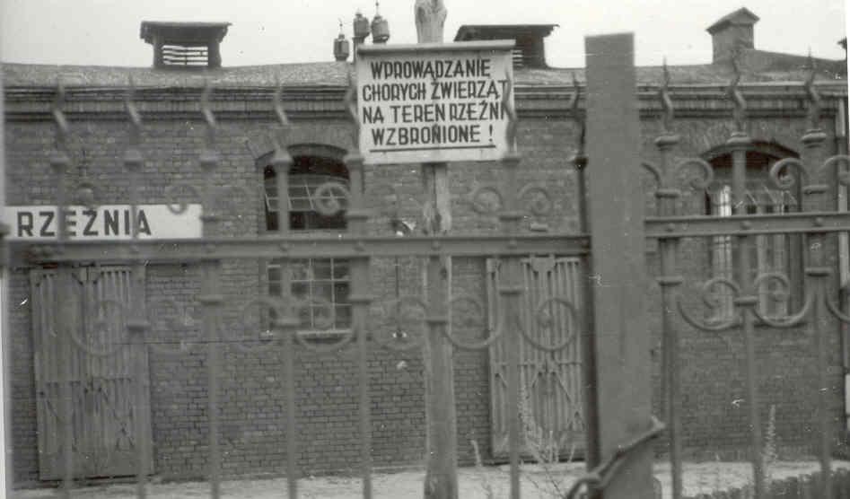 PZLZ - działał od 1 października 1949 r w budynku Gminnej