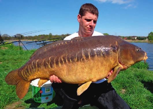 Combat Carp 2 ¾ lbs także znajdzie zastosowanie w łowieniu drapieżników na przynęty naturalne.