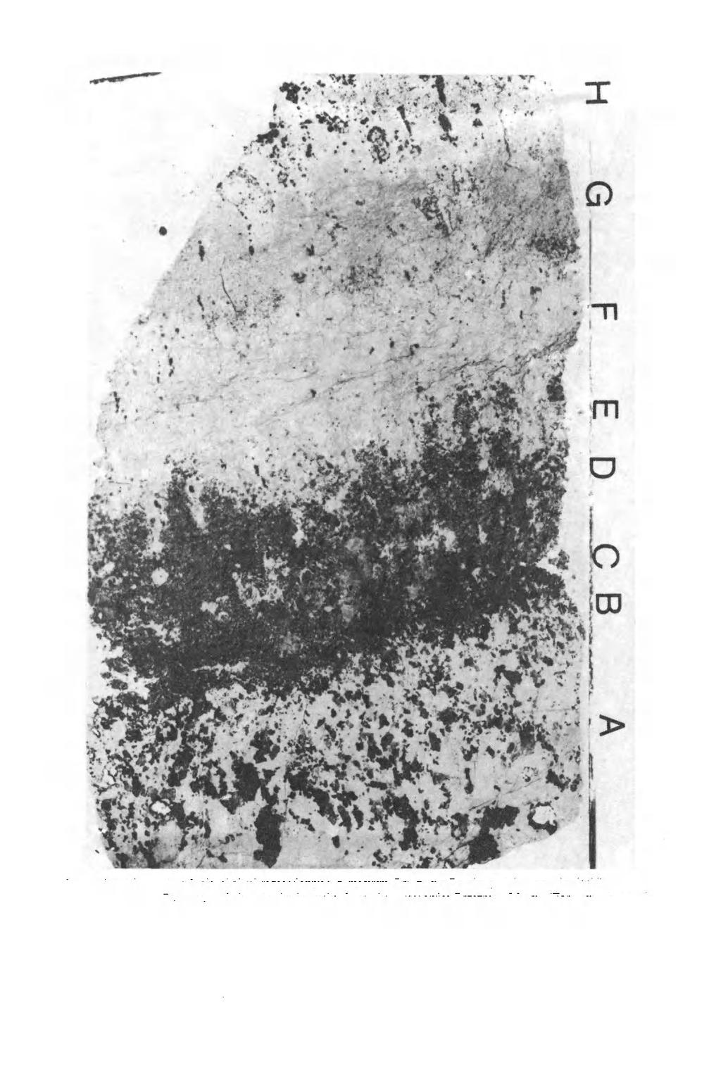 GEOLOGIA SUDETICA VOL. XXVI PL.