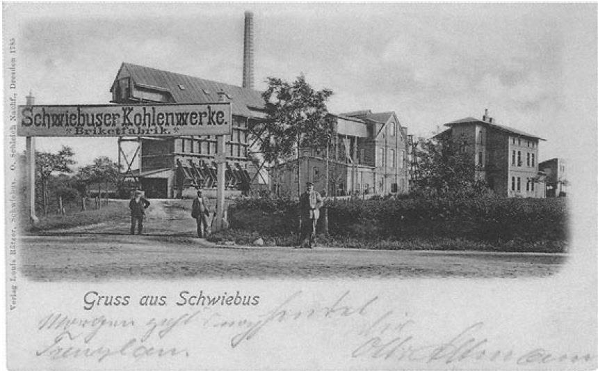 Węgiel brunatny w regionie lubuskim Schwiebuser Kohlenwerke w Świebodzinie, powstały 16 V 1893 z połączenia 25 kopalni i pól górniczych nadanych w latach 1853-1872.