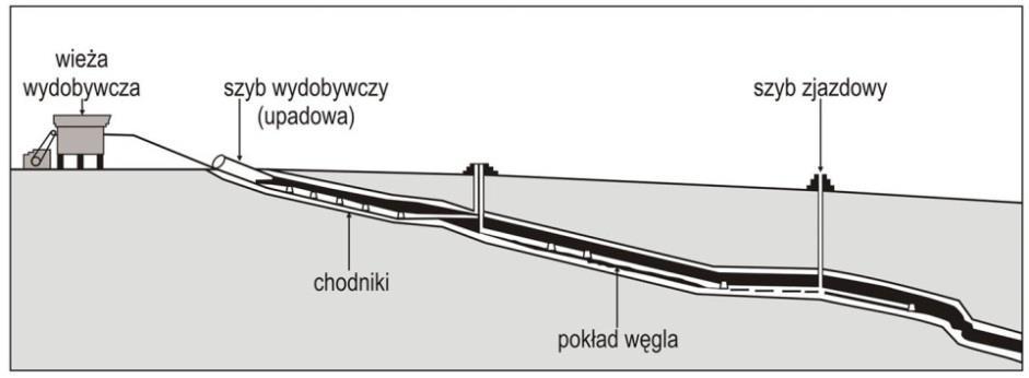 Węgiel brunatny w regionie lubuskim odkrywkowej. Znane są przypadki eksploatacji podziemnej bardzo płytko położonych pokładów węgla np.