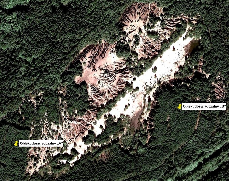 Rozdział 4 go udziału w gruncie frakcji piaszczystej, przy opisanej zawartości węgla geogenicznego, zaobserwowano wysoką kwasowość hydrolityczną gruntów (8,6-15,8 cmol kg -1 ) i niski stopień