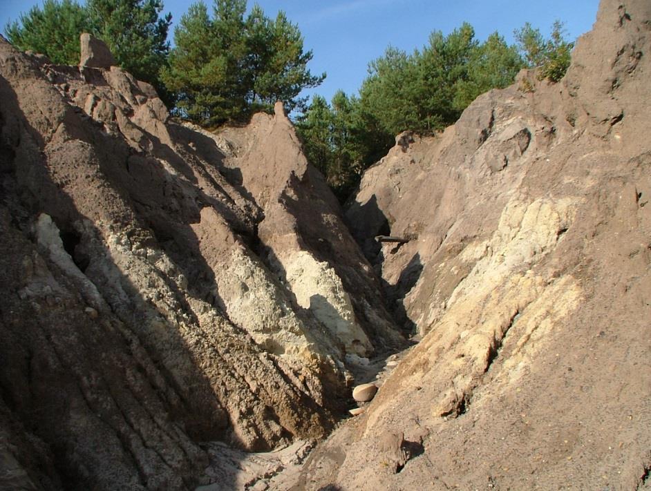 Greinert Trwałe zasiedlenie ma tą samą rangę, jak w przypadku inicjowania procesów glebotwórczych na materiale skalnym w pełni naturalnej genezy.