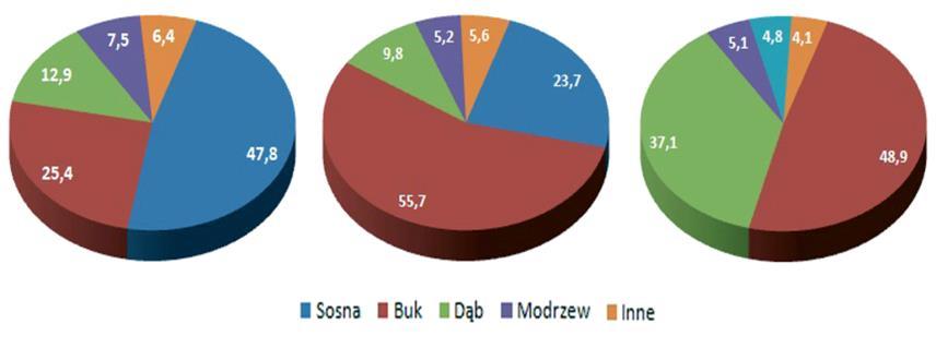 Greinert 2013 a) typ drzewostanu Bk-So na glebie rdzawej właściwej; b) typ drzewostanu So-Bk na glebie brunatnej kwaśnej typowej; c) typ