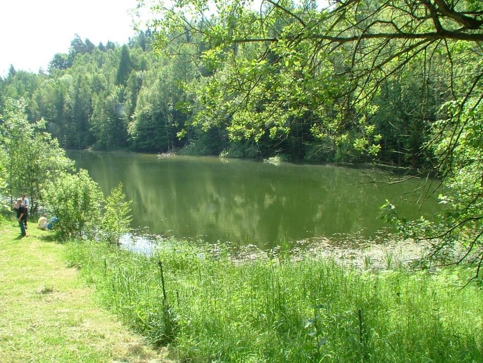 Rozdział 4 sywnej rekultywacji z przywróceniem obiektów przyrodniczych występujących na powierzchni do stanu pierwotnego.