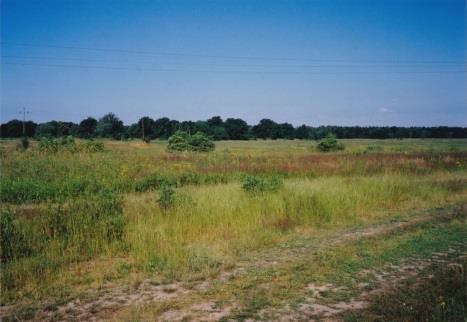 Rekultywacja terenów pokopalnianych w regionie lubuskim Fot. 4.34-4.35. Teren po eksploatacji kruszywa naturalnego Dobroszów Wielki, fot. M.