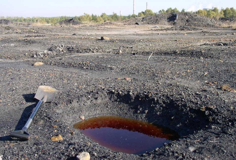 Rekultywacja terenów pokopalnianych w regionie lubuskim Fot. 4.38.