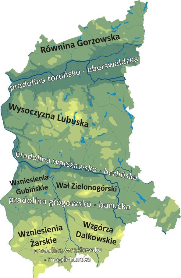 Podstawowe informacje o regionie Rys. 2.11. Równoleżnikowy układ podstawowych jednostek morfologicznych na Ziemi Lubuskiej (oprac. aut.