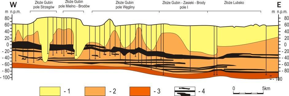 Rozdział 3 Strop pokładu zalega na średniej głębokości około 120-165 m p.p.t. Pokład ten, podzielony kopalnymi plejstoceńskimi dolinami erozyjnymi (rys. 3.15) na liczne pola złożowe, występuje tylko na niewielkich obszarach w złożu Gubin, ale zajmuje znaczną powierzchnię w złożu Gubin-Zasieki-Brody.