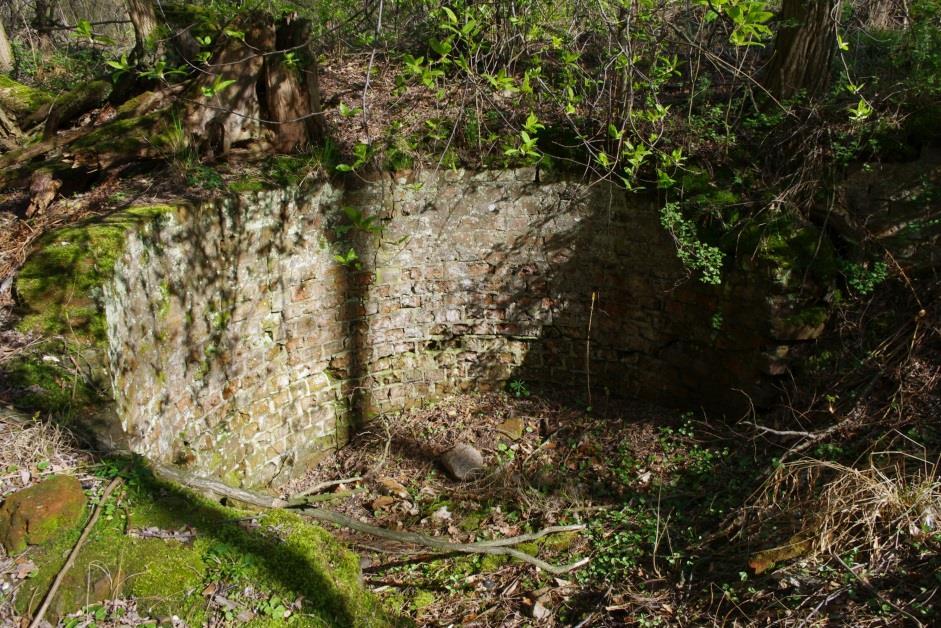 Węgiel brunatny w regionie lubuskim zielonogórskie. Kopalnię, którą nazwano Słone wraz niemieckimi pracownikami przejęła elektrownia już w 1945 roku.