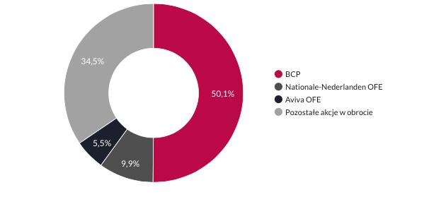 Struktura akcjonariatu Banku Millennium wg. stanu na 31.12.