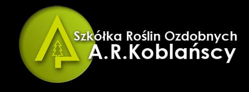 Oferta hurtowa 2017 Szkółka Roślin Ozdobnych A.R. Koblańscy 42-270 Kłomnice, ul. Pocztowa 22 Strona firmowa: www.koblanski.pl Tel: +48 606 413 903 Fax: 34 328 13 96 E-mail: szkolka@koblanski.