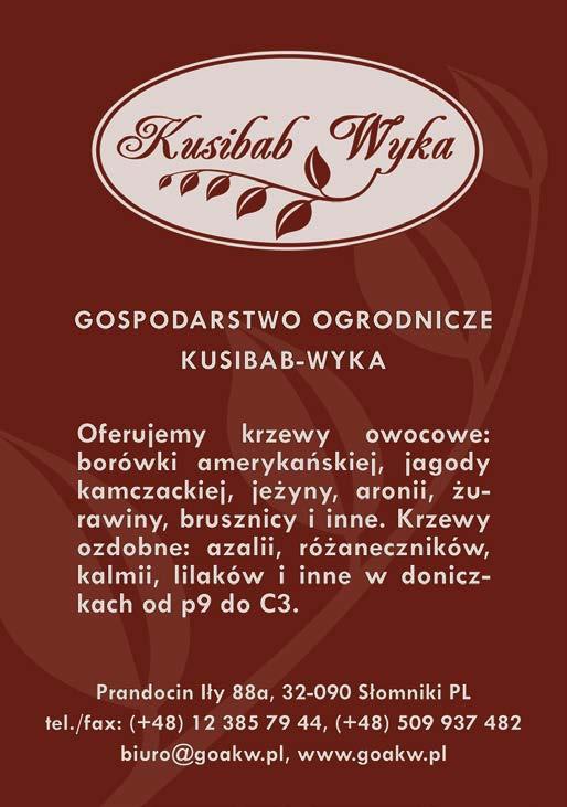 owoców, kiedy ich cena jest jeszcze wysoka, prowadzony jest w miarę możliwości ręcznie.