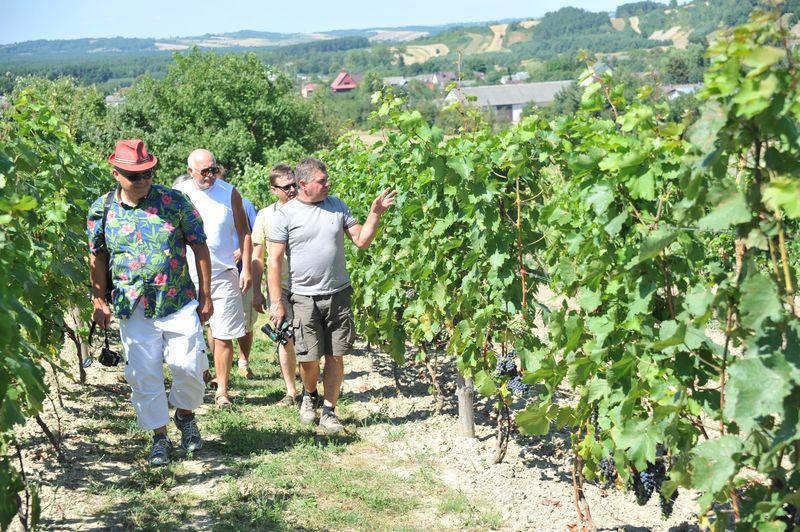 odwiedzaniu regionów związanych z uprawą winorośli oraz miejsc, w których