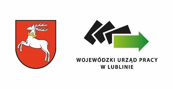 Opracowanie: Wojewódzki Urząd Pracy w Lublinie Wydział Badań i Analiz Analiza sytuacji na rynku pracy W WOJEWÓDZTWIE LUBELSKIM 2016 r.