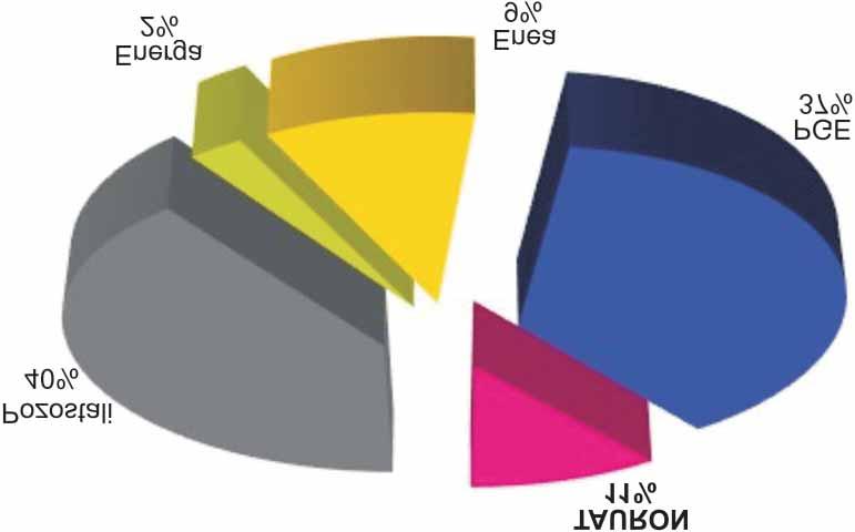 w obszarze wydobycia wêgla kamiennego, wytwarzania, dystrybucji oraz obrotu energi¹ elektryczn¹ i ciep³em. W 2015 r.