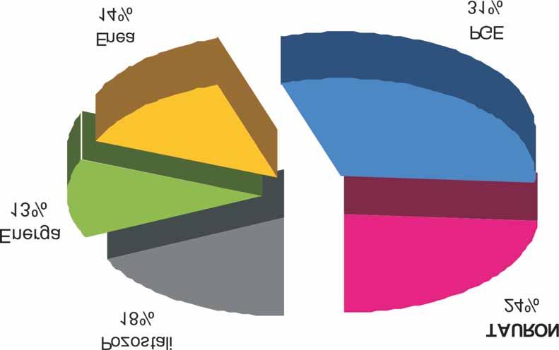 11%, co daje Grupie Kapita³owej TAURON drug¹ pozycjê w Polsce. Aktywa wytwórcze Grupy Kapita³owej TAURON skoncentrowane s¹ w po³udniowej Polsce.