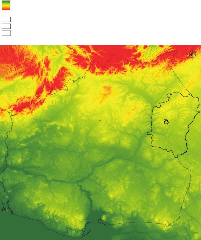 Leszczyna pospolita, widok na kwiatostany w rozkwicie (fot. A. Dąbrowska) Fig. 1.