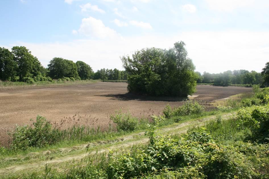 rejonie kompleksu Stawów Marianki (ZAŁĄCZNIK NR 8.1). Stawy należą do zbiorników hodowlanych, z których okresowo spuszczana jest woda.