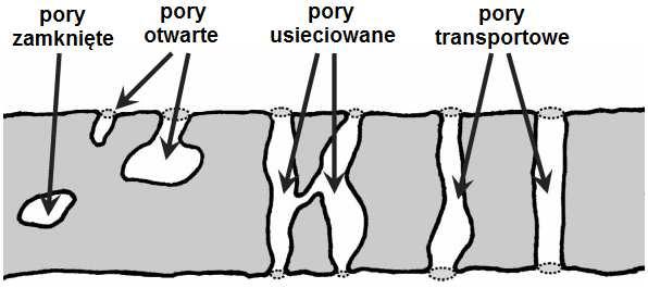 Rys.8. Rodzaje porów w materiałach ceramicznych. Pory można też podzielić ze wzglądu na ich rozmiar.