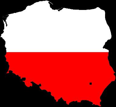 polskich dzieci 16% 22% Nadwaga