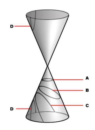 Krzywe stożkowe Krzywe powstające po przecięciu stożka płaszczyznami