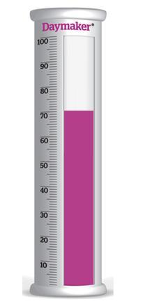 Metoda i skala oceny Raportu Daymakerindex 2017 W ramach każdej kategorii opracowujemy szereg konkretnych pytań. Następnie przeliczamy uzyskane wyniki i prezentujemy je w skali procentowej (0-100%).