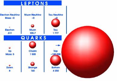 Jednostki używane w fizyce wysokich energii i w fizyce zderzeń ciężkich jonów Skale mas różnych typów leptonów i kwarków Jednostka energii [ev] = 1.