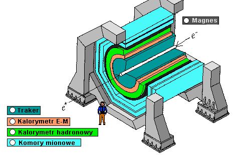 Podstawowe składniki dużych układów detektorów w fizyce wysokich energii i zderzeń ciężkich jonów: 1. Komora rejestrująca tory (detektor śladowy) np.