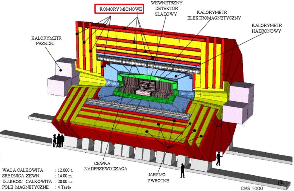 Eksperyment CMS przy akceleratorze LHC w
