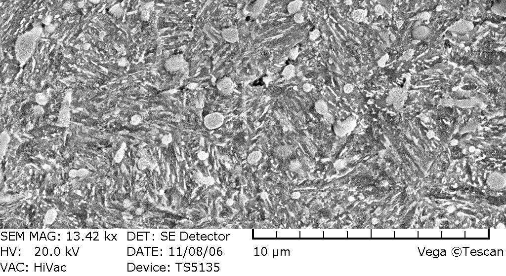 temperature 300 ºC Scanning microscope WEGA TC