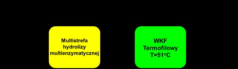 Proponowany zmodyfikowany układ fermentacji osadów w wariancie TERMO PODSTAWOWY: Proponowany zmodyfikowany układ fermentacji osadów w wariancie MEZO ROZSZERZONY: 3.