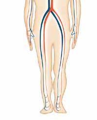 Vigileo Oximetry