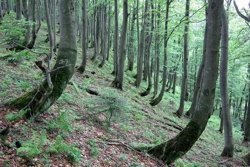 1. Zadania 87 Zadanie 152. Na fotografiach przedstawiono wybrane rodzaje grawitacyjnych ruchów masowych.