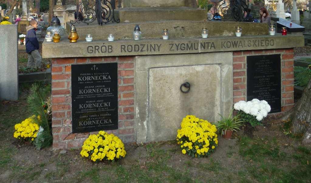 rodziny Zygmunta