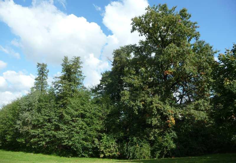 podmokłych terenach wokół ulic: