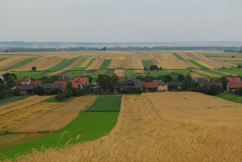 Zalecenia dotyczące ochrony i utrzymania bioróżnorodności na obszarach wiejskich Bogactwo przyrody objawia się różnorodnością jej form. Przez tysiące lat ludzie żyli blisko natury.