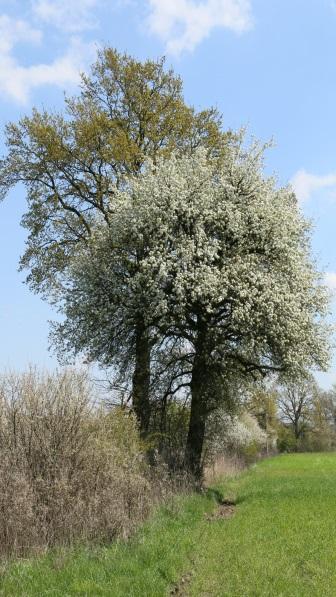 2.1. Jak postępować?