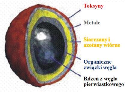 ciężkich węglowodorów. Przykładowy schemat cząstki stałej przedstawia rys.1 [3], natomiast na rys.2.