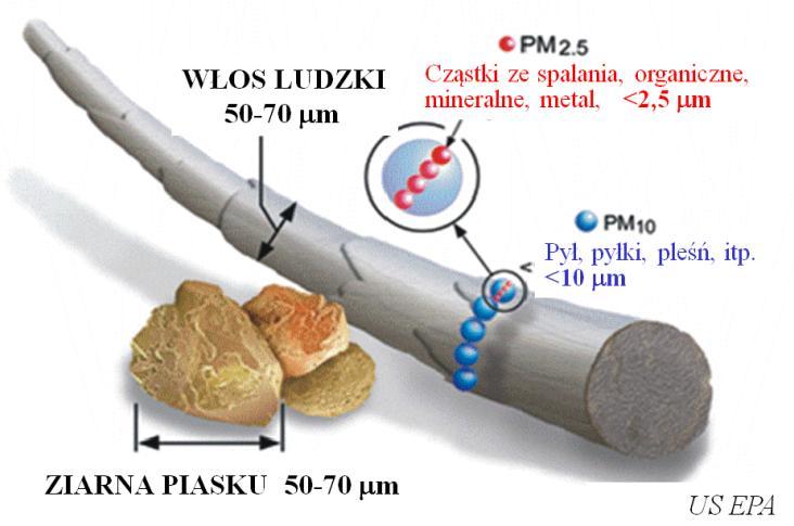 spalinowych silników tłokowych przedstawiono cząstki stałe PM na tle włosa ludzkiego (rys.3)
