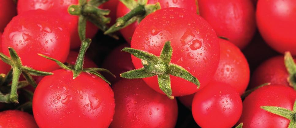 FORTUNA SOKI POMIDOROWO-WARZYWNE 1L Fortuna sok pomidorowy Soki pomidorowe Fortuna to klasyka uwielbiana przez wielu gęste, o idealnie czerwonej barwie pomidorów, dobre o każdej porze dnia.