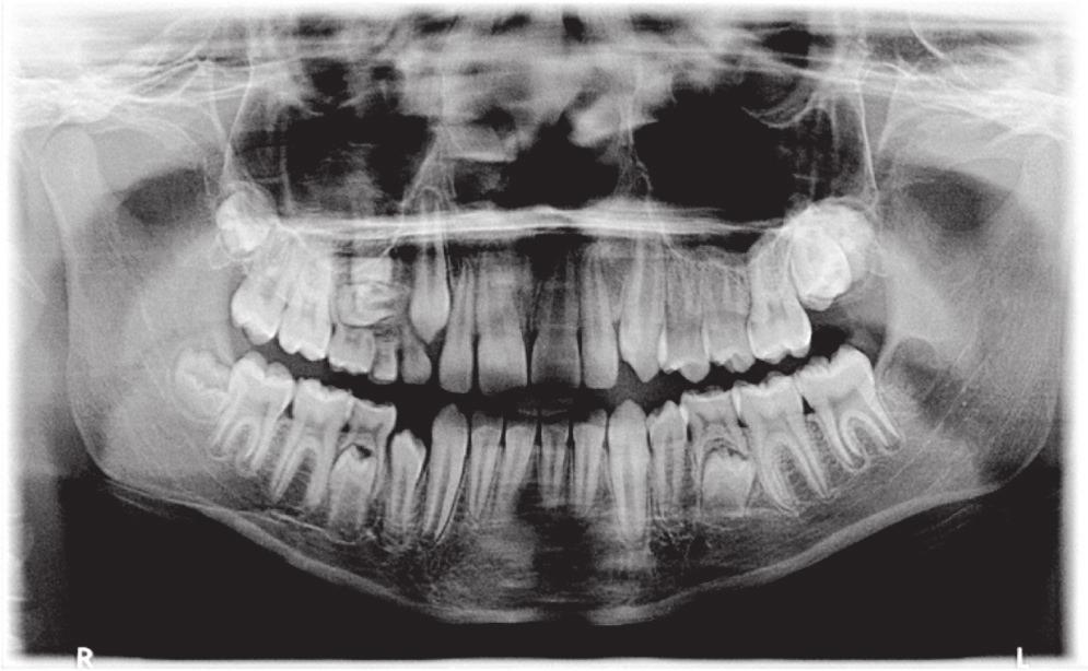 386 Anna Janas et al. Fig. 8.