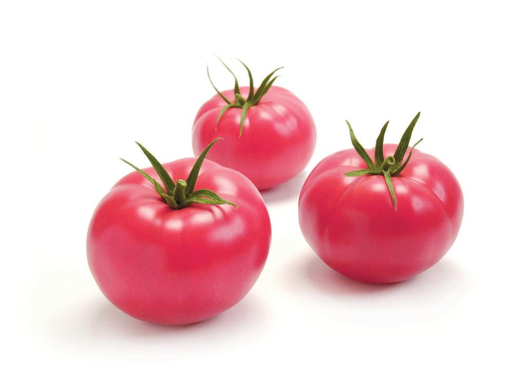 Pomidor malinowy Bo liczy się smak! TOMIMARU MUCHOO F1 najsmaczniejszy pomidor malinowy na rynku!