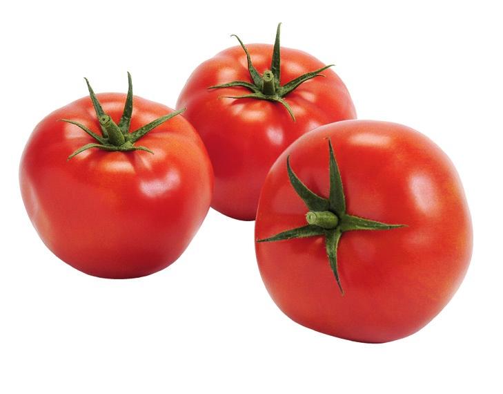 rynku odmiany pomidorów: Geronimo i Grace.