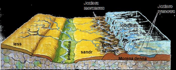 boczna, forma: meander (zakole), starorzecze (jezioro) Dolny proces akumulacja, forma: łacha, ławica, delta d) Działalność lądolodów i lodowców - lądolody i