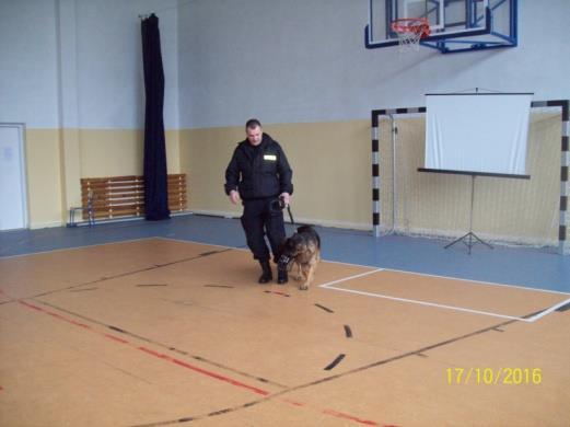 Spotkanie z psem policyjnym zorganizowanie spotkania z wolontariuszami