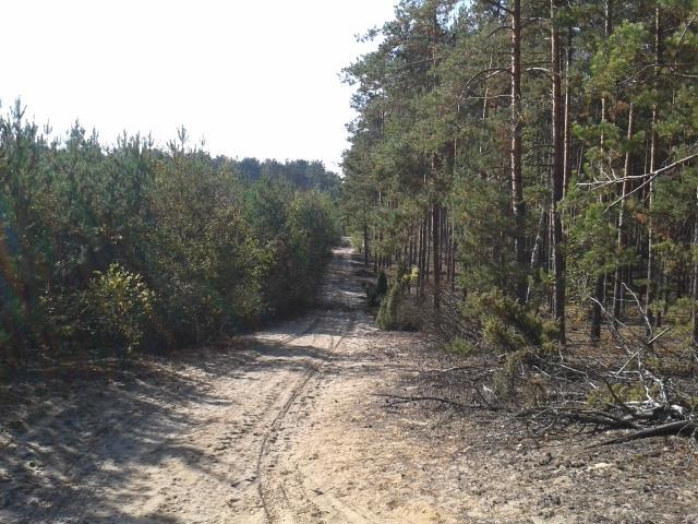 Dalej kierujemy się na północny wschód Traktem Buskim 2,5 km.