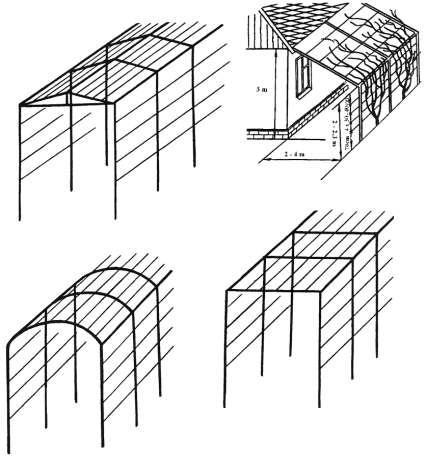 WINOROŚL NA KONSTRUKCJACH SKLEPIONYCH W różnych wydaniach winoroślarskich bardzo mało opisuje się prowadzenie krzewów winorośli na konstrukcjach